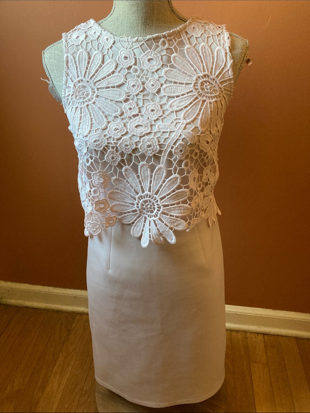 Catherine Malandrino Sleeveless Crochet Floral Lace Top Dress in Light Pink